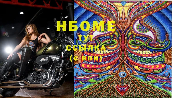 шишки Бородино