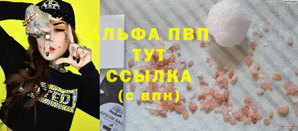 шишки Бородино