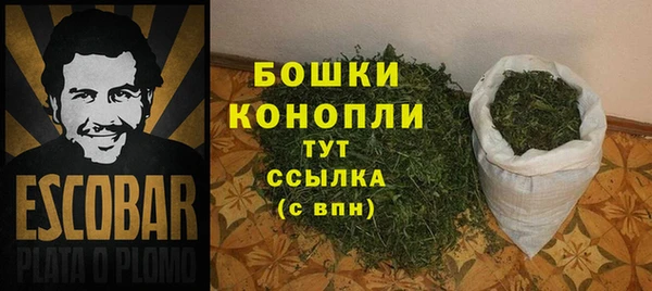 шишки Бородино