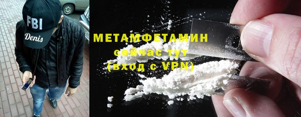 шишки Бородино