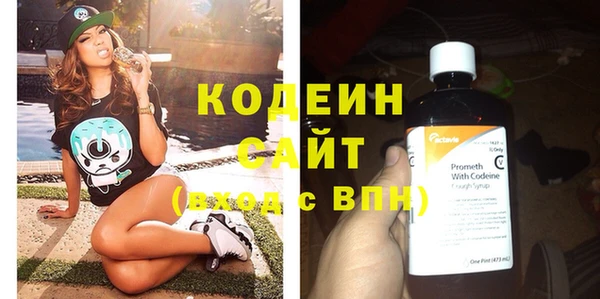 шишки Бородино