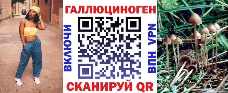 купить наркотик  Киреевск  Галлюциногенные грибы Cubensis 